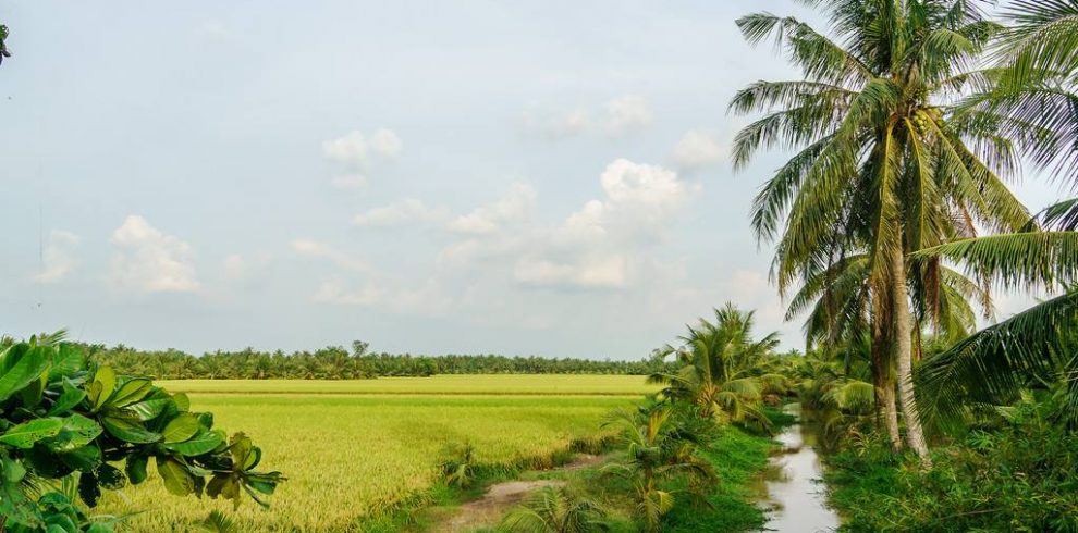 An Binh Island - Mekong Delta - Vietnam