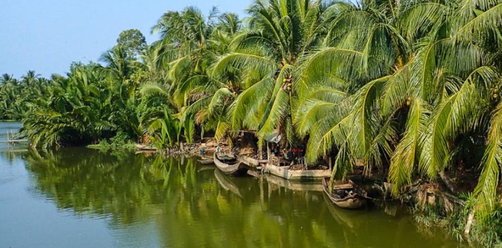 Coconut Island - Ben Tre - Vietnam