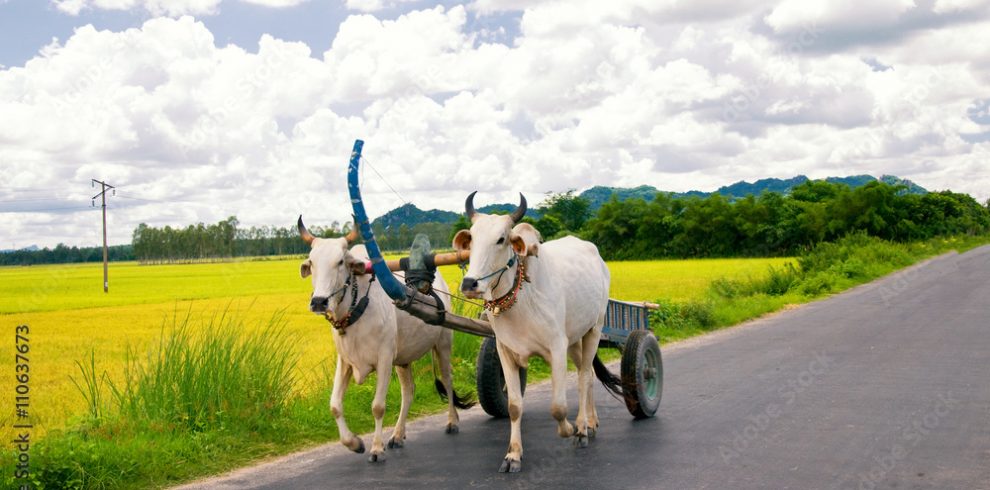 Chau Doc - An Giang - Vietnam