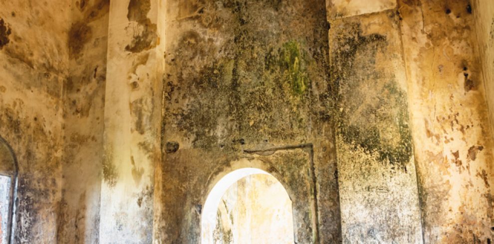 Bokor Mountain - Preah Monivong National Park - Cambodia