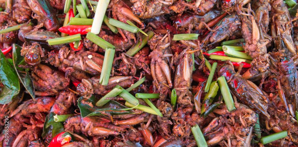 Skun Insect Market - Cambodia