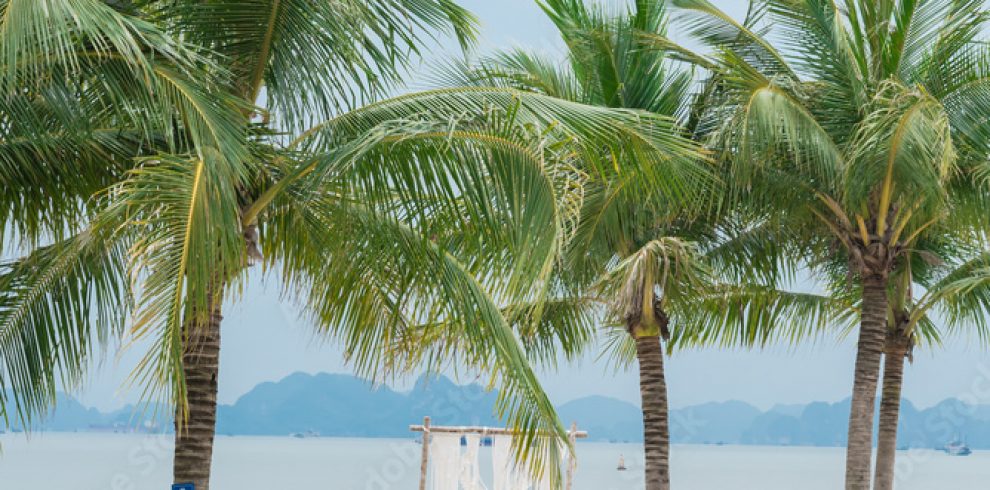 Beach - Halong Bay - Quang Ninh - Vietnam