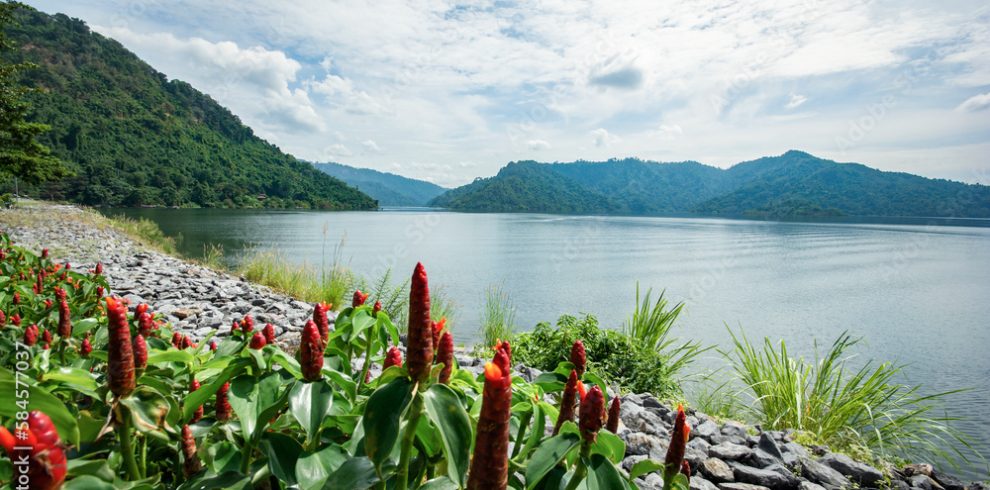 Khun Dan Dam - Thailand