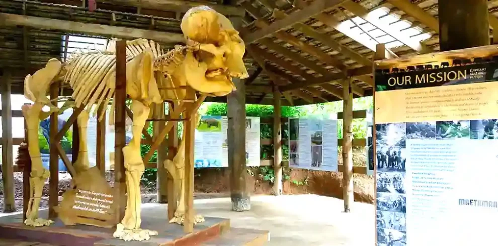 Elephant EcoValley - Chiang Mai - Thailand