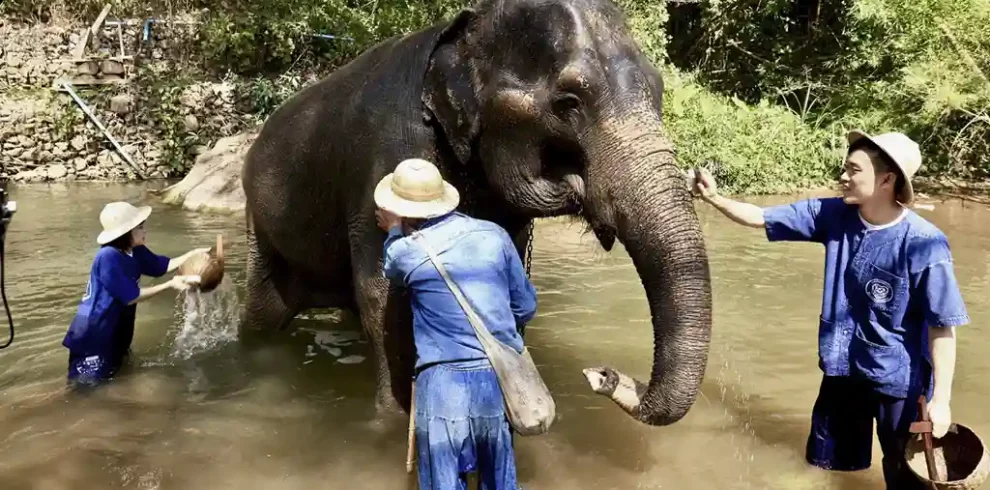 Elephant EcoValley - Chiang Mai - Thailand