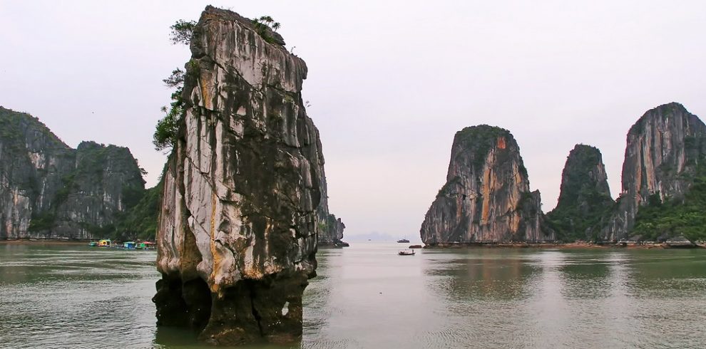 Flight Cock Islet - Halong Bay - Quang Ninh - Vietnam