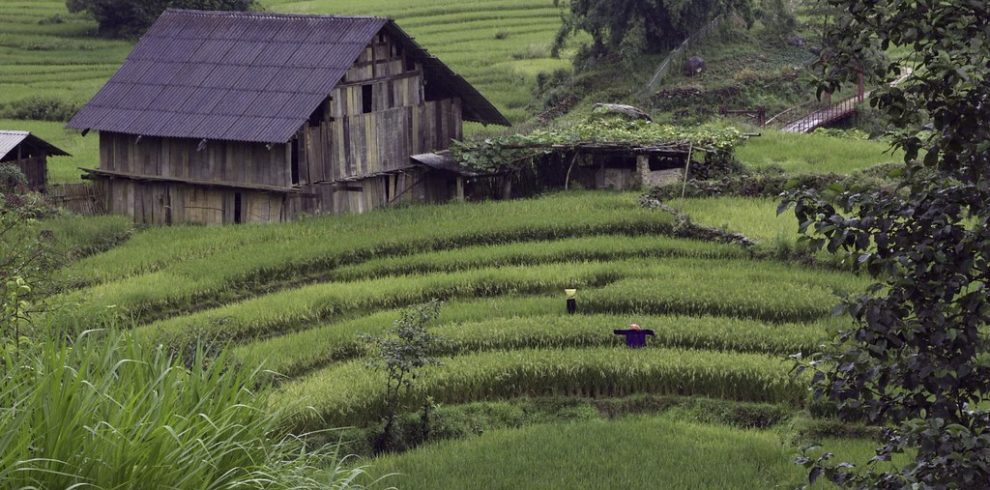 Cat Cat - Sapa - Lao Cai - Vietnam