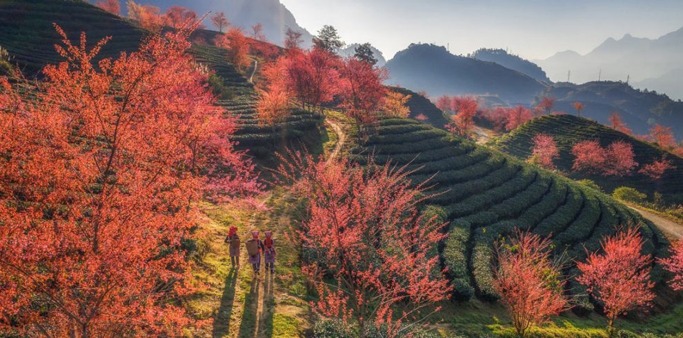 Sapa Loop - Sapa - Lao Cai - Vietnam