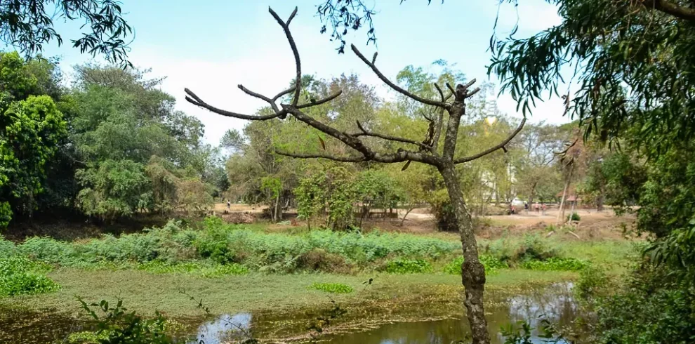 Killing Fields of Choeung Ek - Phnom Penh - Cambodia