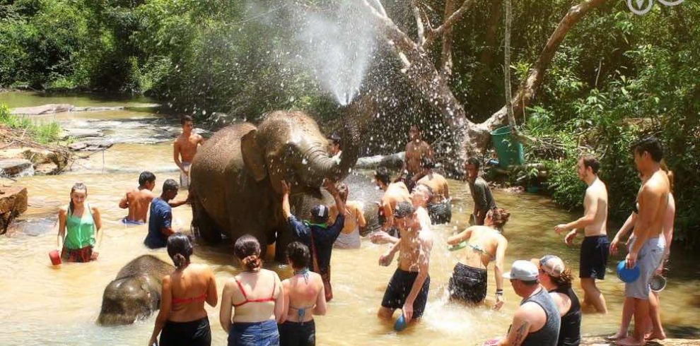 Elephant Jungle Sanctuary - Chiang Mai - Thailand