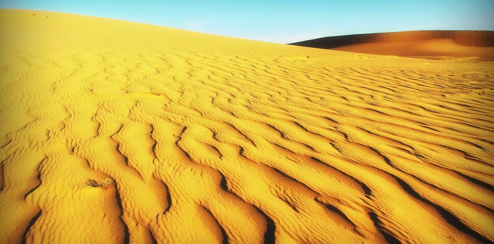 Sand Dunes - Phan Thiet - Binh Thuan - Vietnam