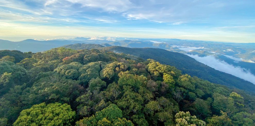 Bidoup Ba National Park - Lam Dong - Vietnam