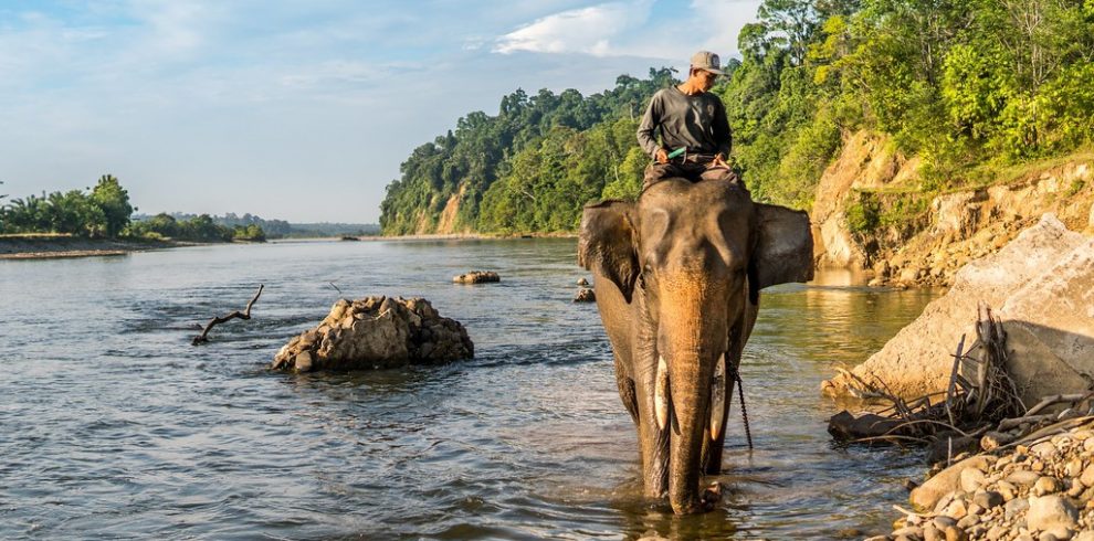 Elephant Village Camp - Luang Prabang - Laos