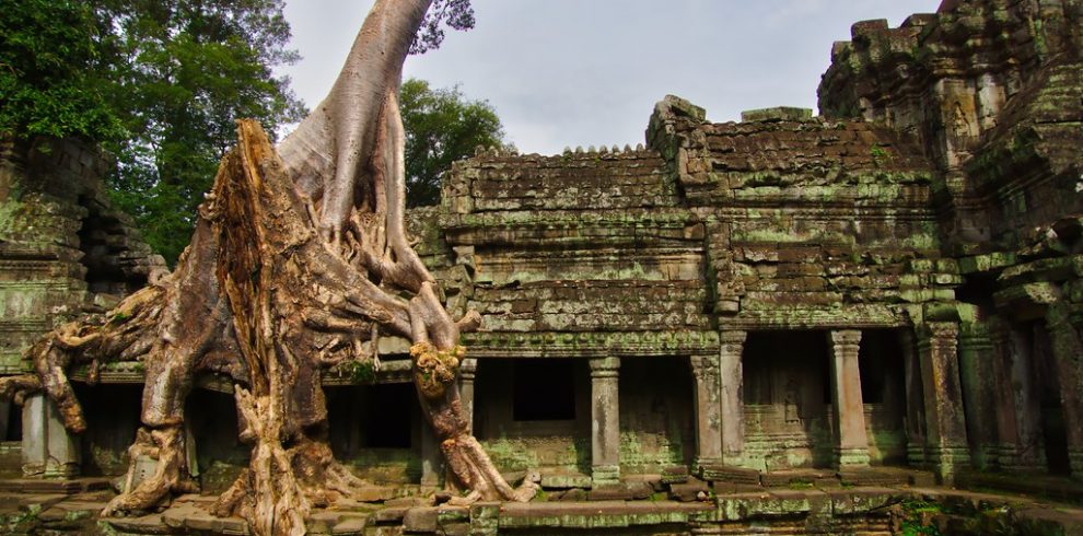 Preah Khan Temple - Siem Reap - Cambodia