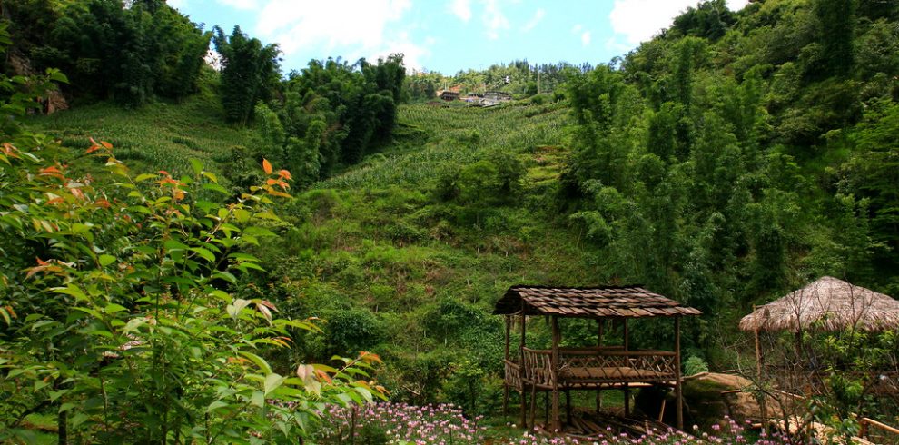 Cat Cat Village - Sapa - Lao Cai - Vietnam