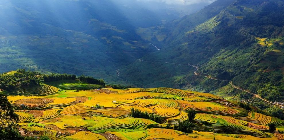 Muong Hoa Stream - Sapa - Lao Cai - Vietnam