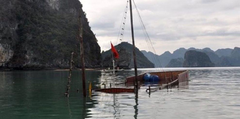 Sail Island - Halong Bay - Quang Ninh - Vietnam