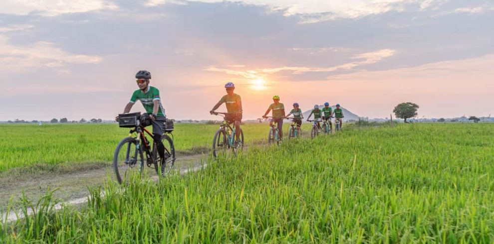 Lotus Fields Cycling Trip - Siem Reap - Cambodia