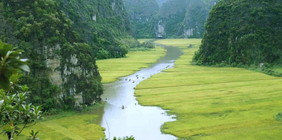 Cuc Phuong National Park - Ninh Binh - Vietnam