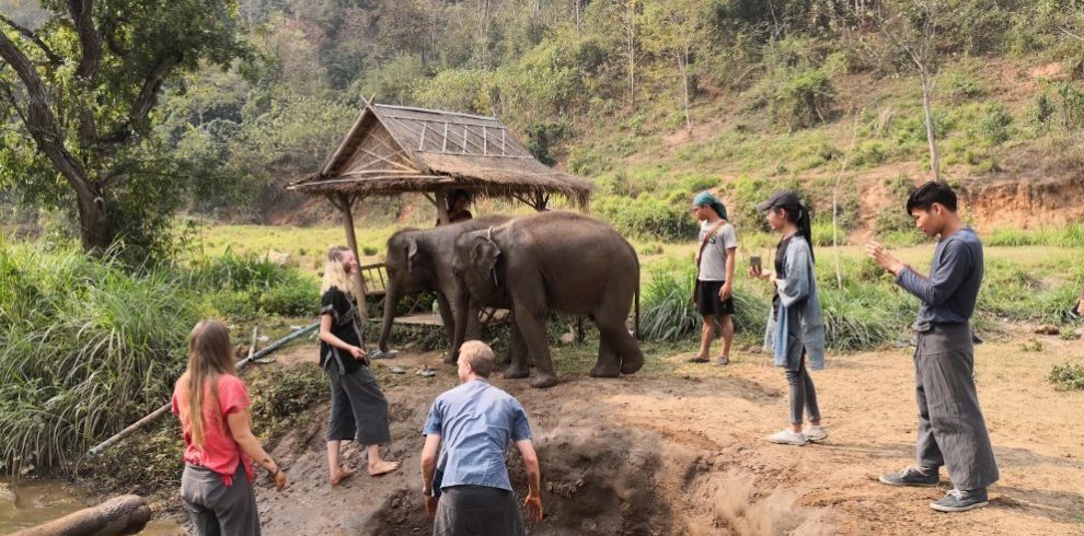 Elephant Jungle Sanctuary - Chiang Mai - Thailand