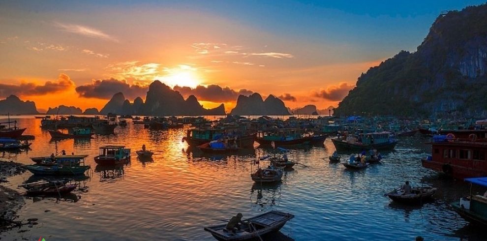 But Moc Islet - Halong Bay - Quang Ninh - Vietnam