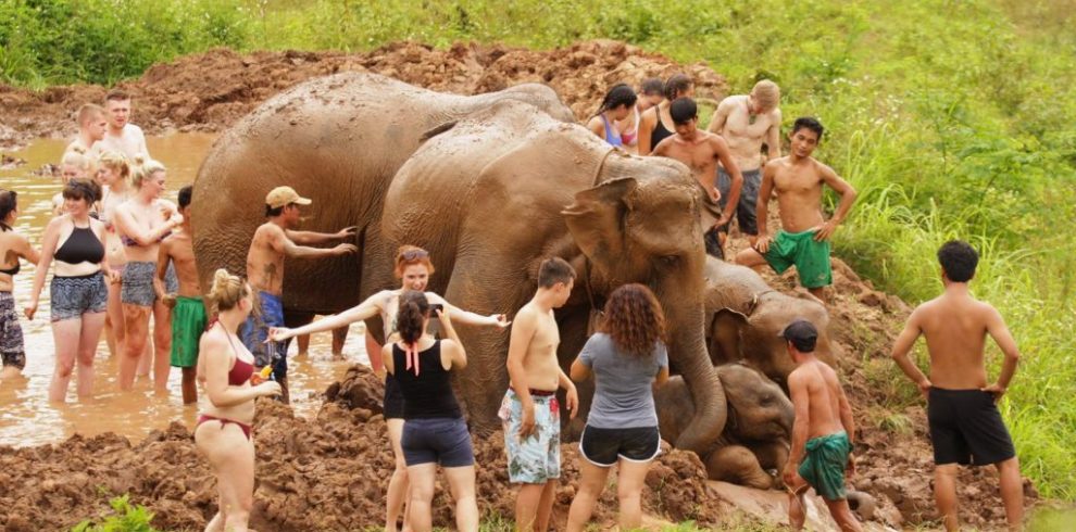 Elephant Jungle Sanctuary - Chiang Mai - Thailand