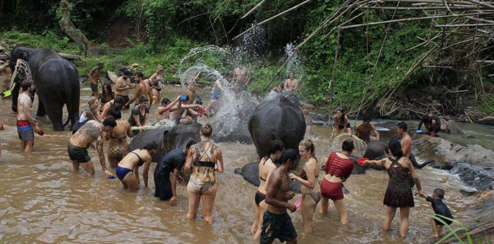 Elephant Jungle Sanctuary - Chiang Mai - Thailand