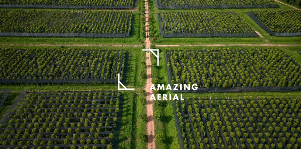 La Plantation Pepper Farm - Kampot - Cambodia