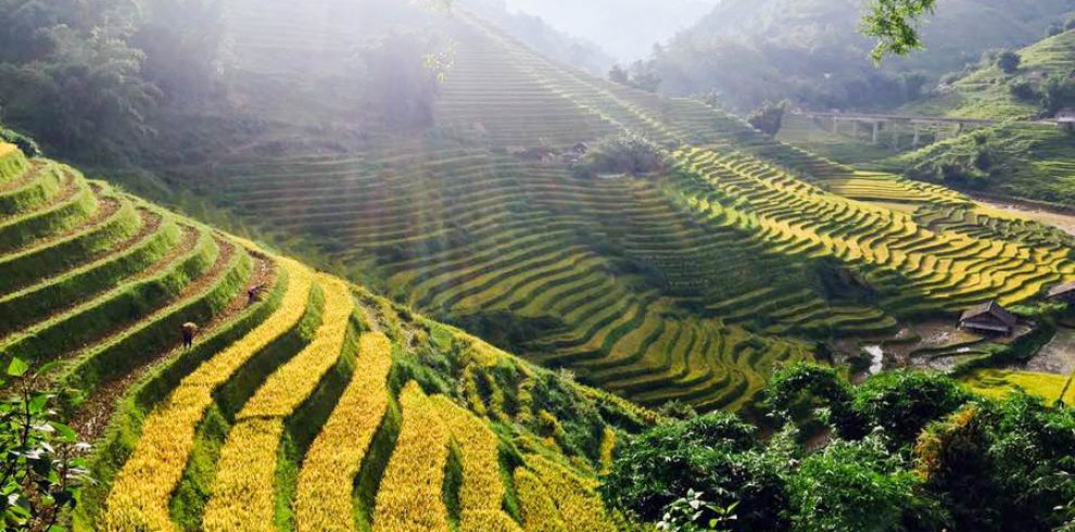 Y Linh Ho Hamlet - Y Linh Ho - Sapa - Lao Cai - Vietnam