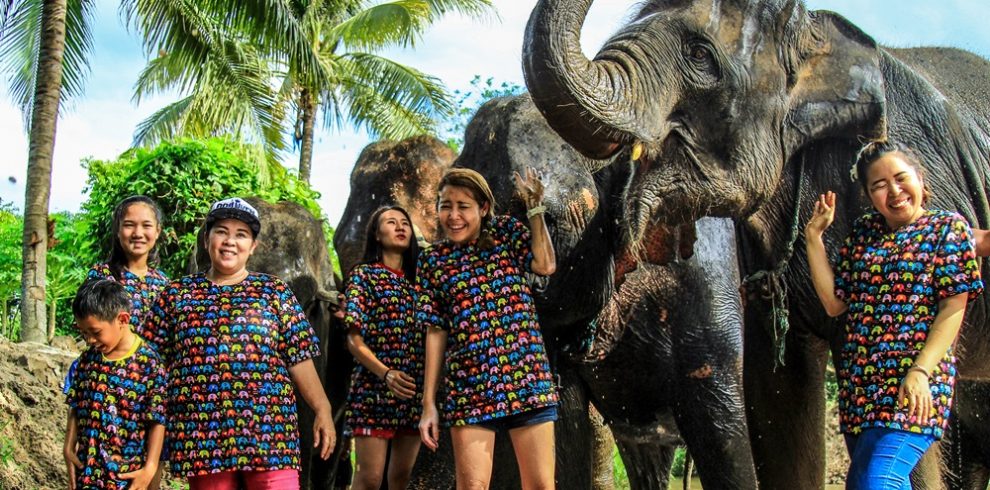 Elephant Sanctuary - Chiang Mai - Thailand