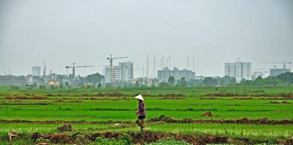 Hanoi City - Hanoi - Vietnam