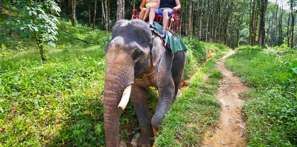 Khao Sok National Park - Thailand