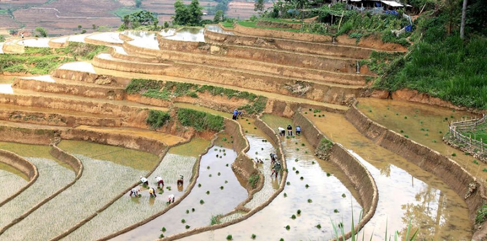 Red Dao Village - Giang Ta Chai - Sapa - Lao Cai - Vietnam