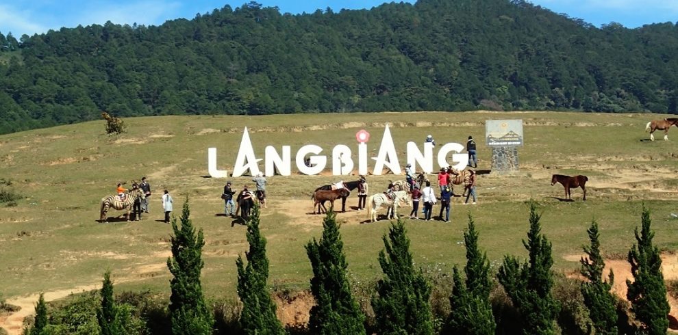 Langbian Mountain - Dalat - Lam Dong - Vietnam