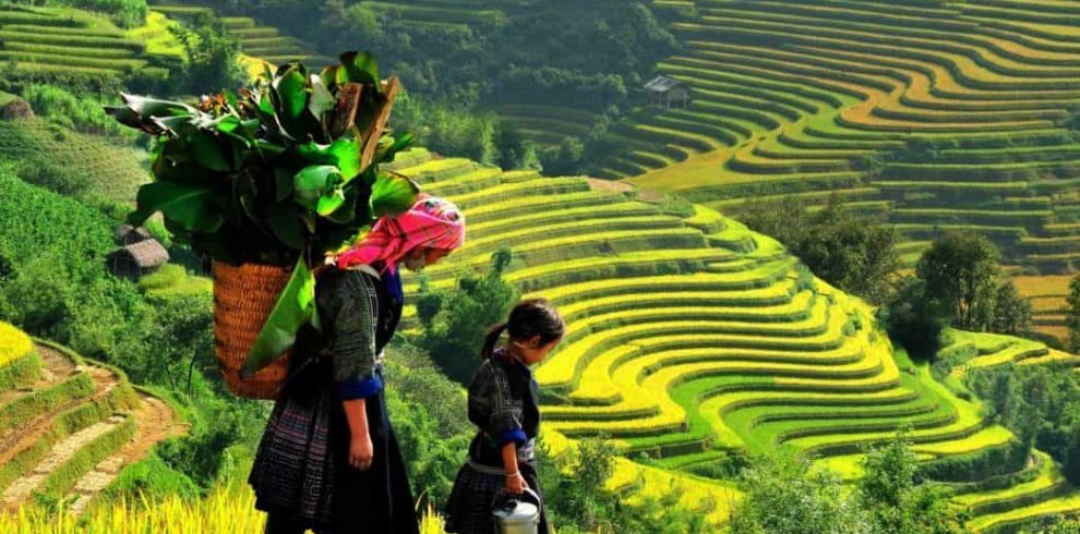 Lao Chai Village - Sapa - Lao Cai - Vietnam