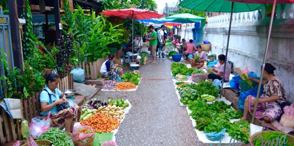 Morning Market - Luang Prabang - Laos