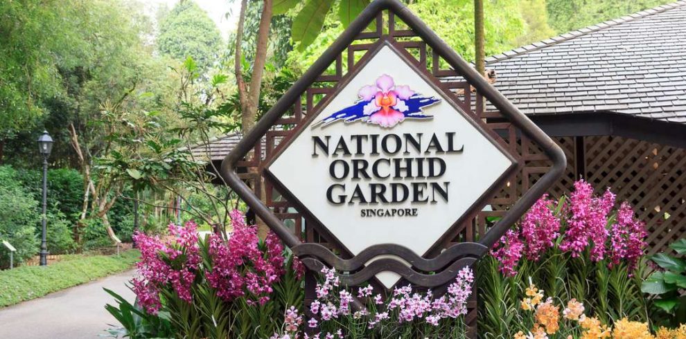 National Orchid Garden - Singapore