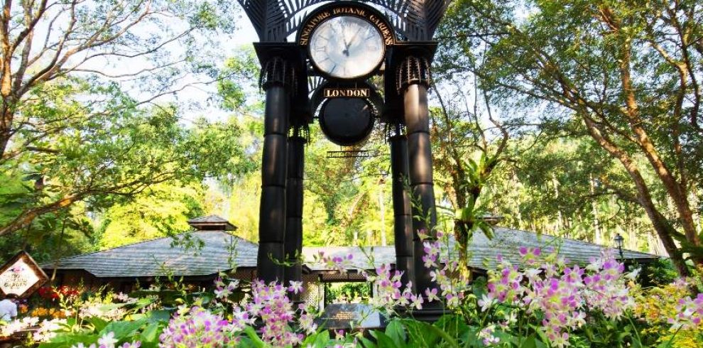 National Orchid Garden - Singapore