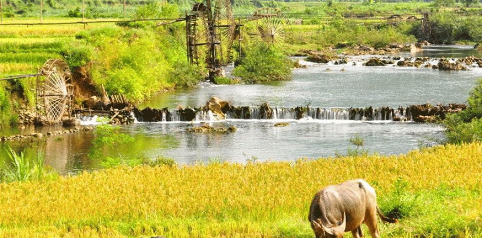 Pu Luong Nature Reserve - Thanh Hoa - Vietnam