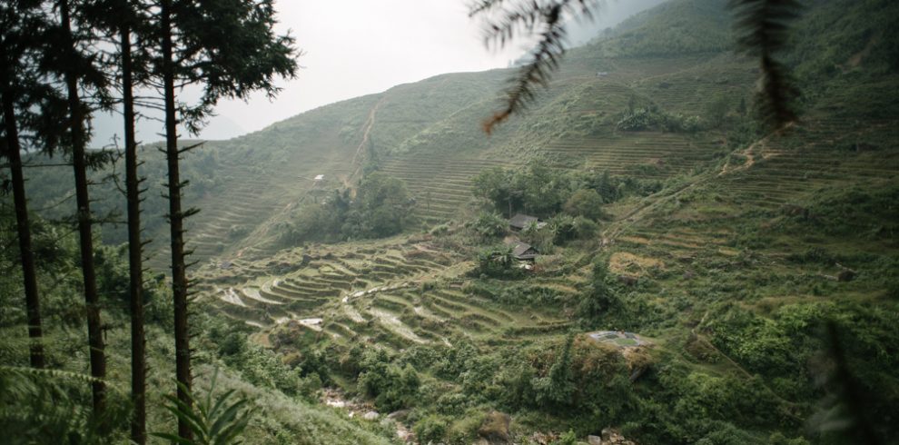 Giang Ta Chai Village - Sapa - Lao Cai - Vietnam