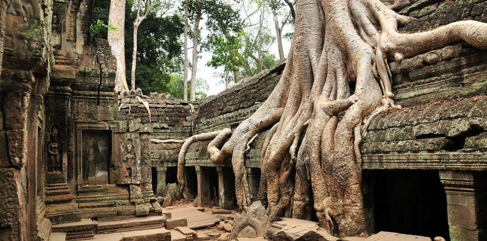 Ta Phrom - Siem Reap - Cambodia