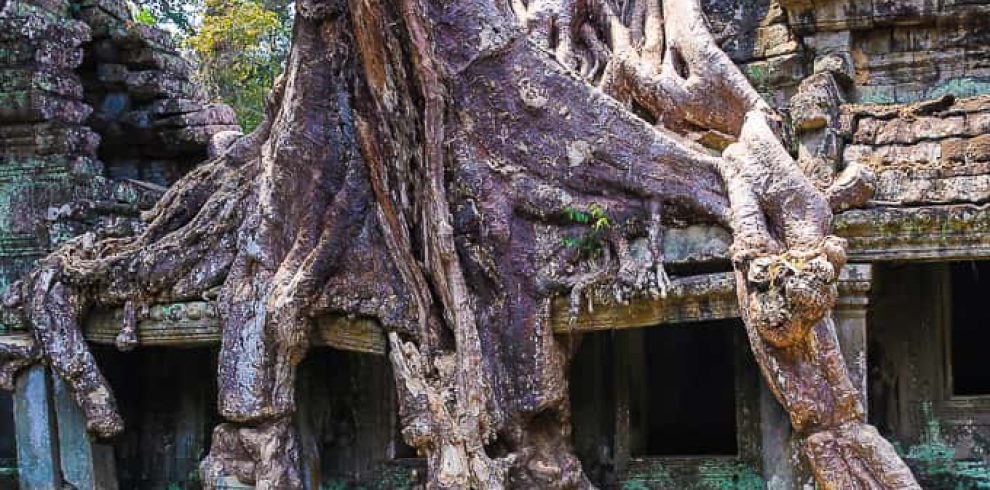 Preah Khan Temple - Siem Reap - Cambodia