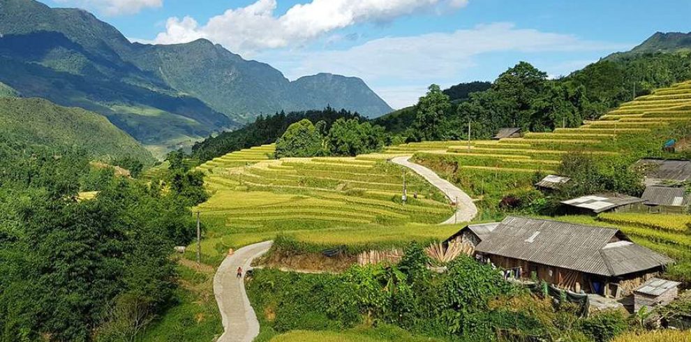 Y Linh Ho Hamlet - Y Linh Ho - Sapa - Lao Cai - Vietnam