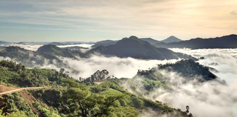 Quang Nam - Vietnam