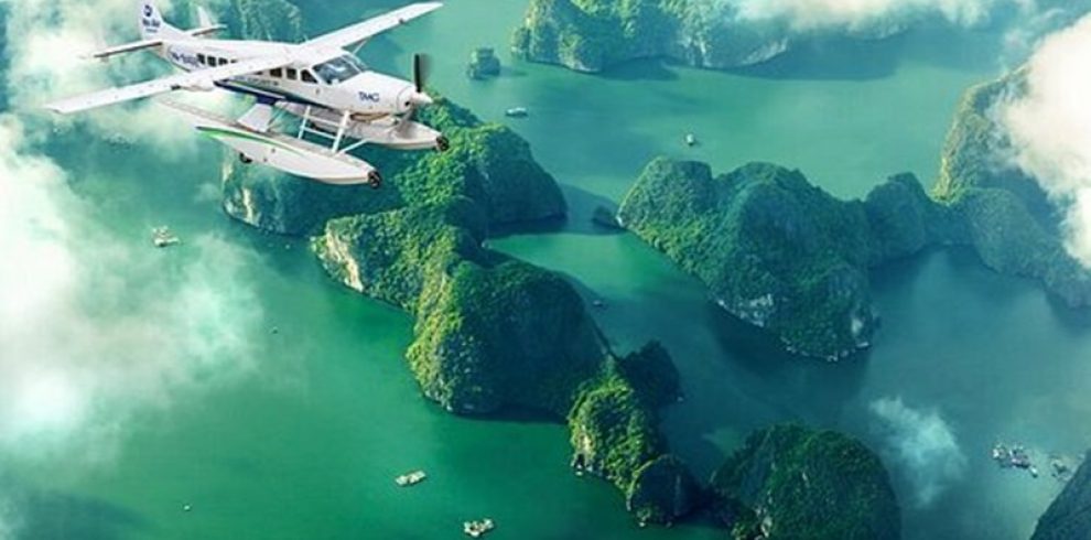 Flight Cock Islet - Halong Bay - Quang Ninh - Vietnam