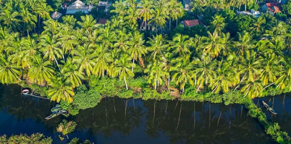 Coconut Island - Ben Tre - Vietnam