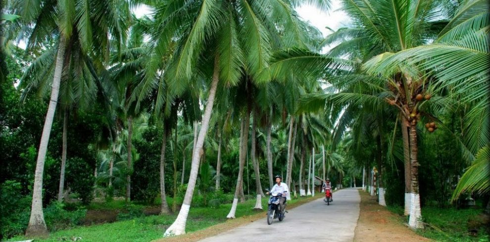 Coconut Island - Ben Tre - Vietnam