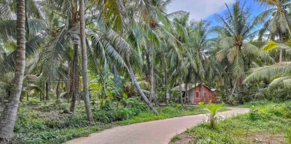 Ba Lai River - Ben Tre - Vietnam