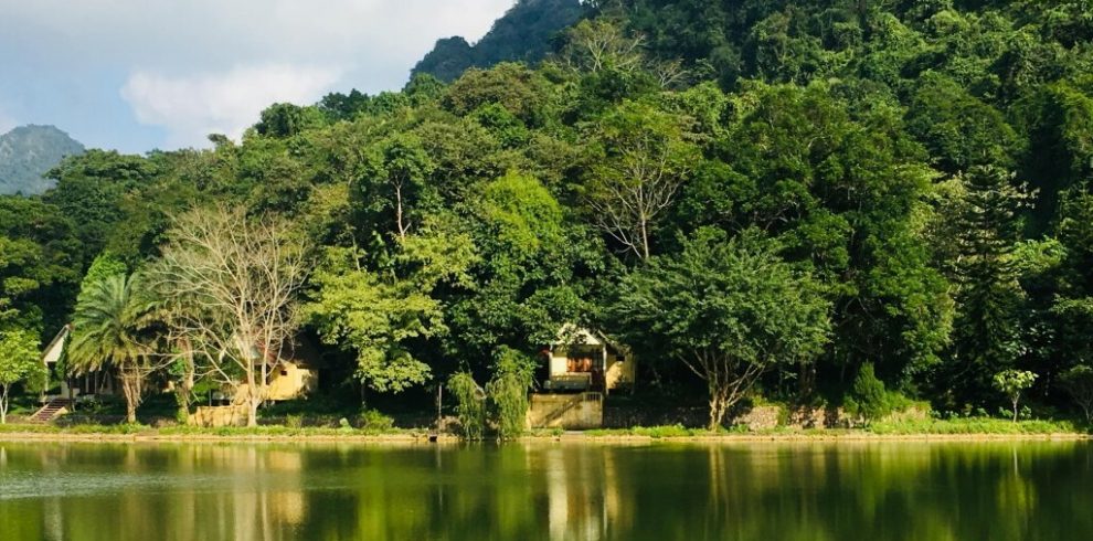 Cuc Phuong National Park - Ninh Binh - Vietnam