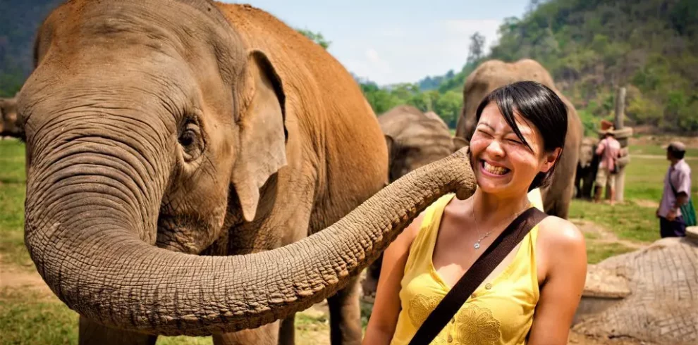 Elephant EcoValley - Chiang Mai - Thailand